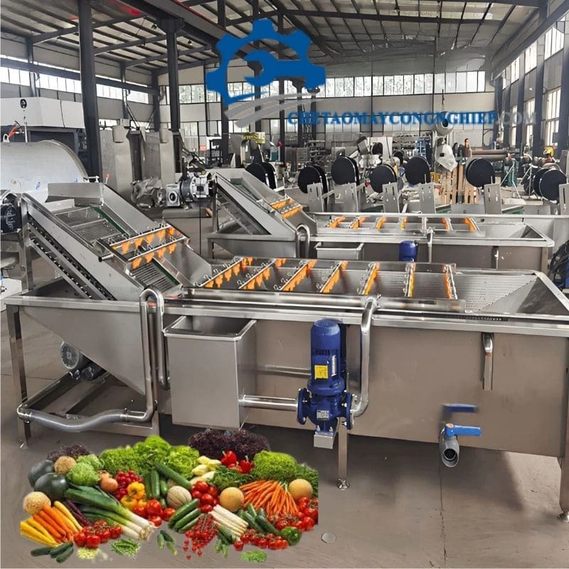 Máy rửa rau củ quả ozone