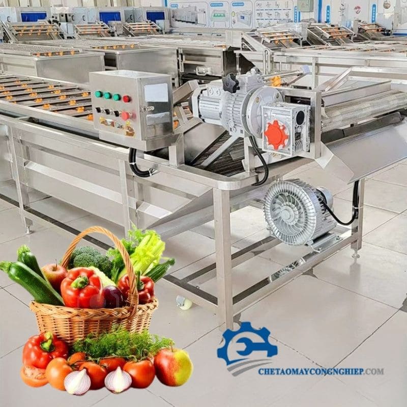 Máy rửa sạch thực phẩm