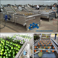Máy rửa rau củ quả- máy rửa rau quả và thịt cá, máy rửa sạch thực phẩm