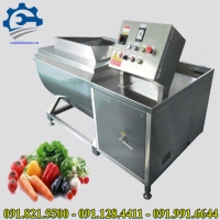 Máy rửa rau củ quả- máy rửa rau quả và thịt cá, máy rửa sạch thực phẩm